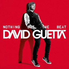 David Guetta - Nothing But The Beat 2CD
