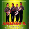 AMADEO 5 - V krasnom slovenskom kraji /KAZETA !/