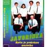 JAVORINKA 1 - Bytca je prekrasne mestecko /KAZETA !/