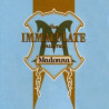 Madonna -  The Immaculate Collection